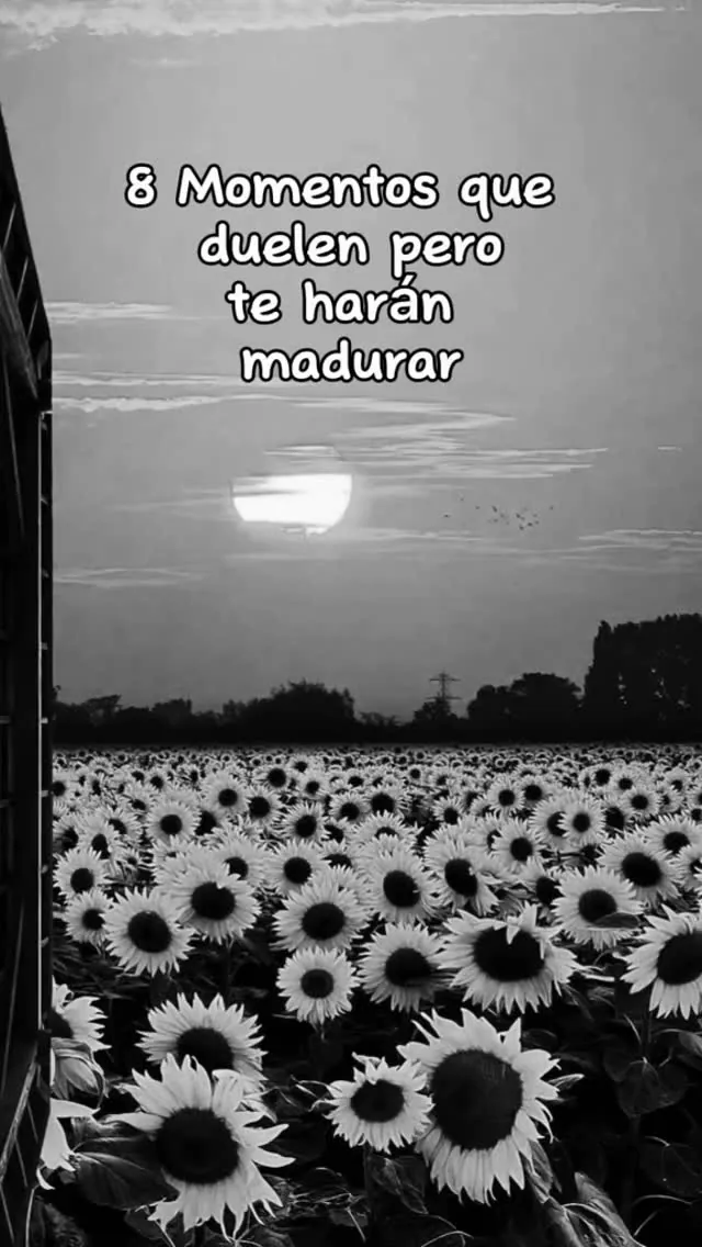 Reel de Instagram: 8 momentos que duelen pero te harán madurar